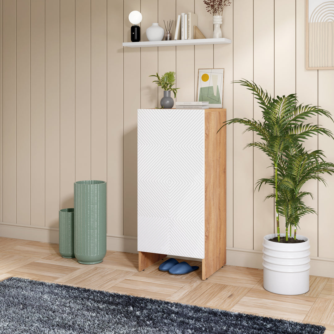 (10 Pair Cabinet)
